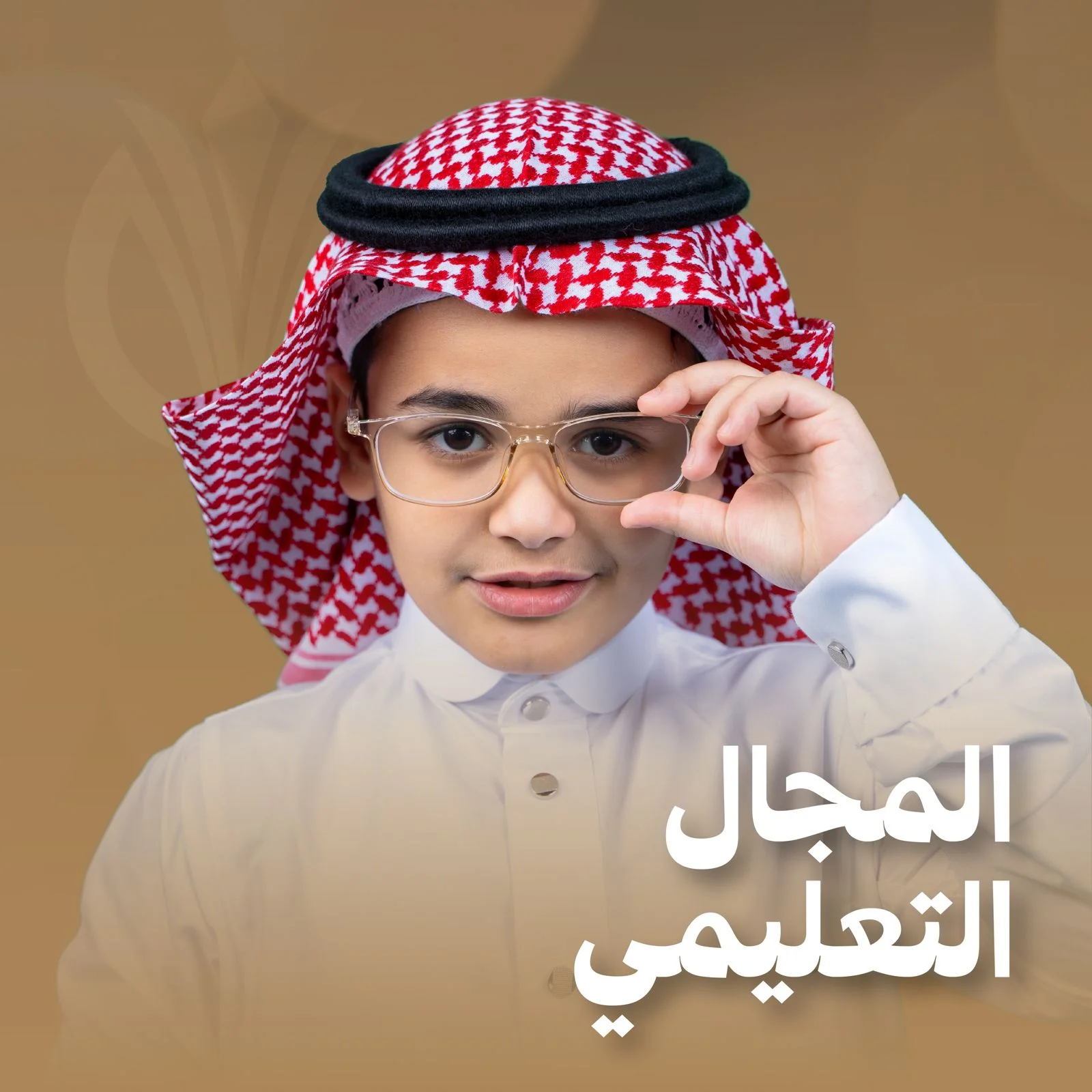 المجال التعليمي